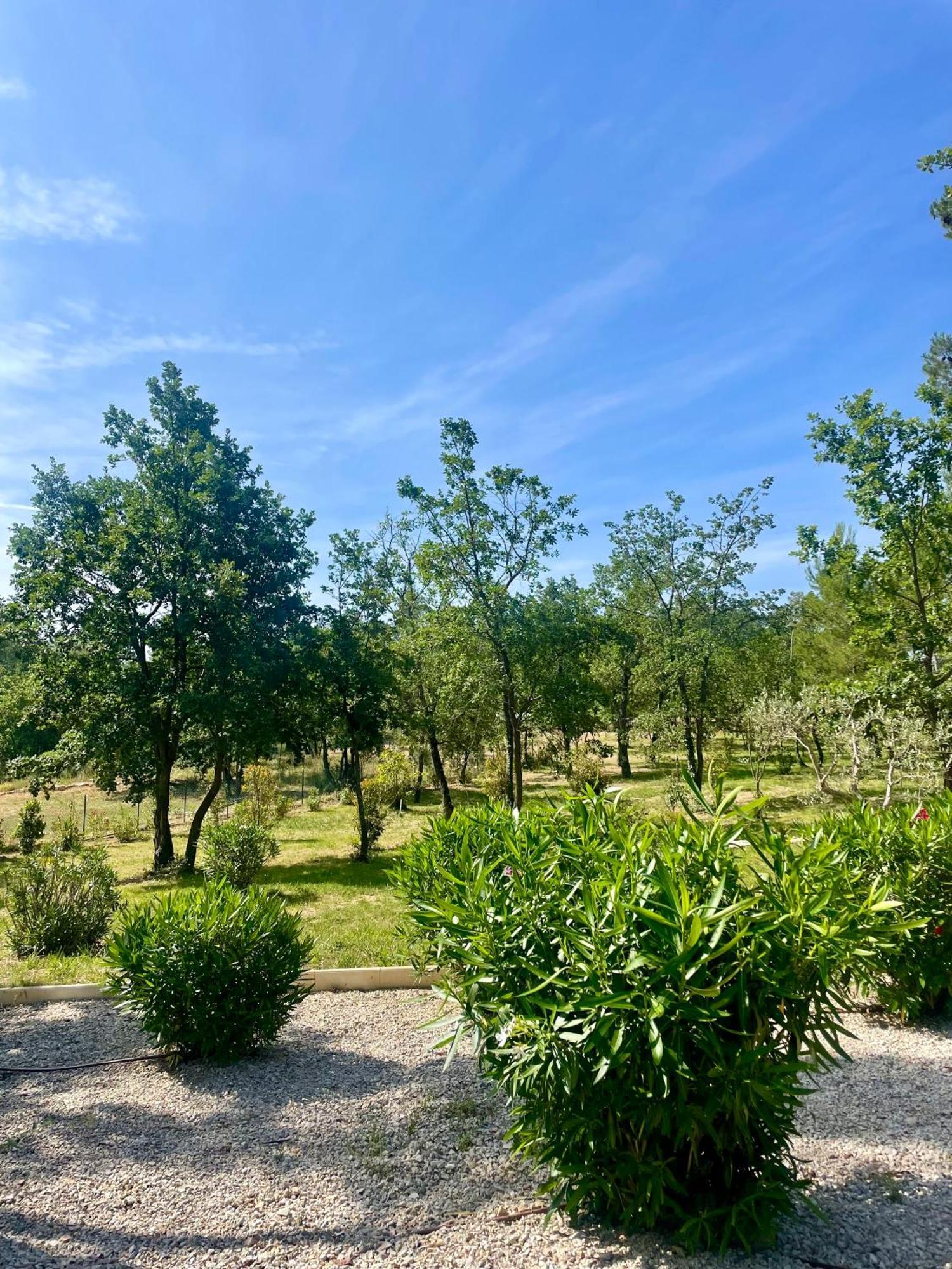 Superbe Villa Seillans La Grande Bastide Avec Piscine, Jardin, Climatisation Et Salle De Sport エクステリア 写真