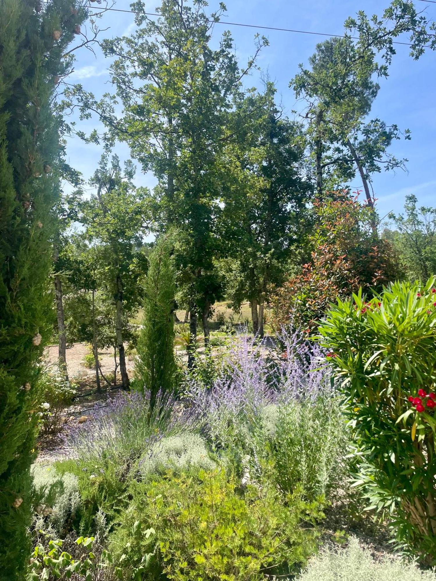 Superbe Villa Seillans La Grande Bastide Avec Piscine, Jardin, Climatisation Et Salle De Sport エクステリア 写真