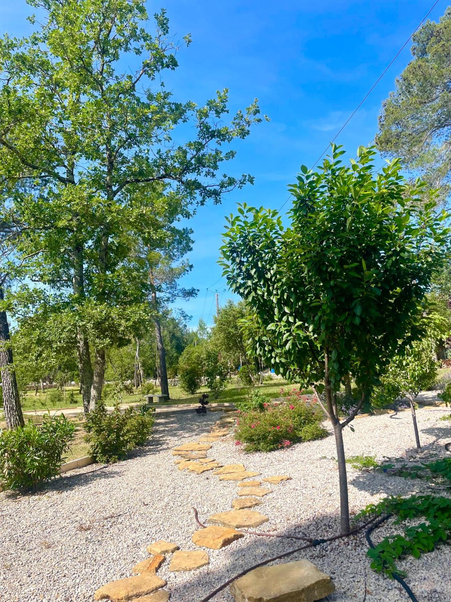 Superbe Villa Seillans La Grande Bastide Avec Piscine, Jardin, Climatisation Et Salle De Sport エクステリア 写真