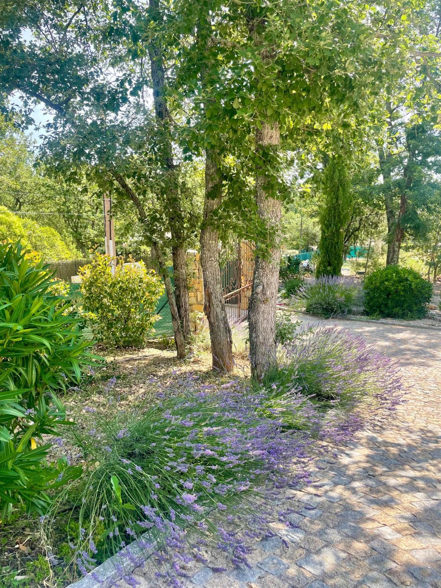 Superbe Villa Seillans La Grande Bastide Avec Piscine, Jardin, Climatisation Et Salle De Sport エクステリア 写真