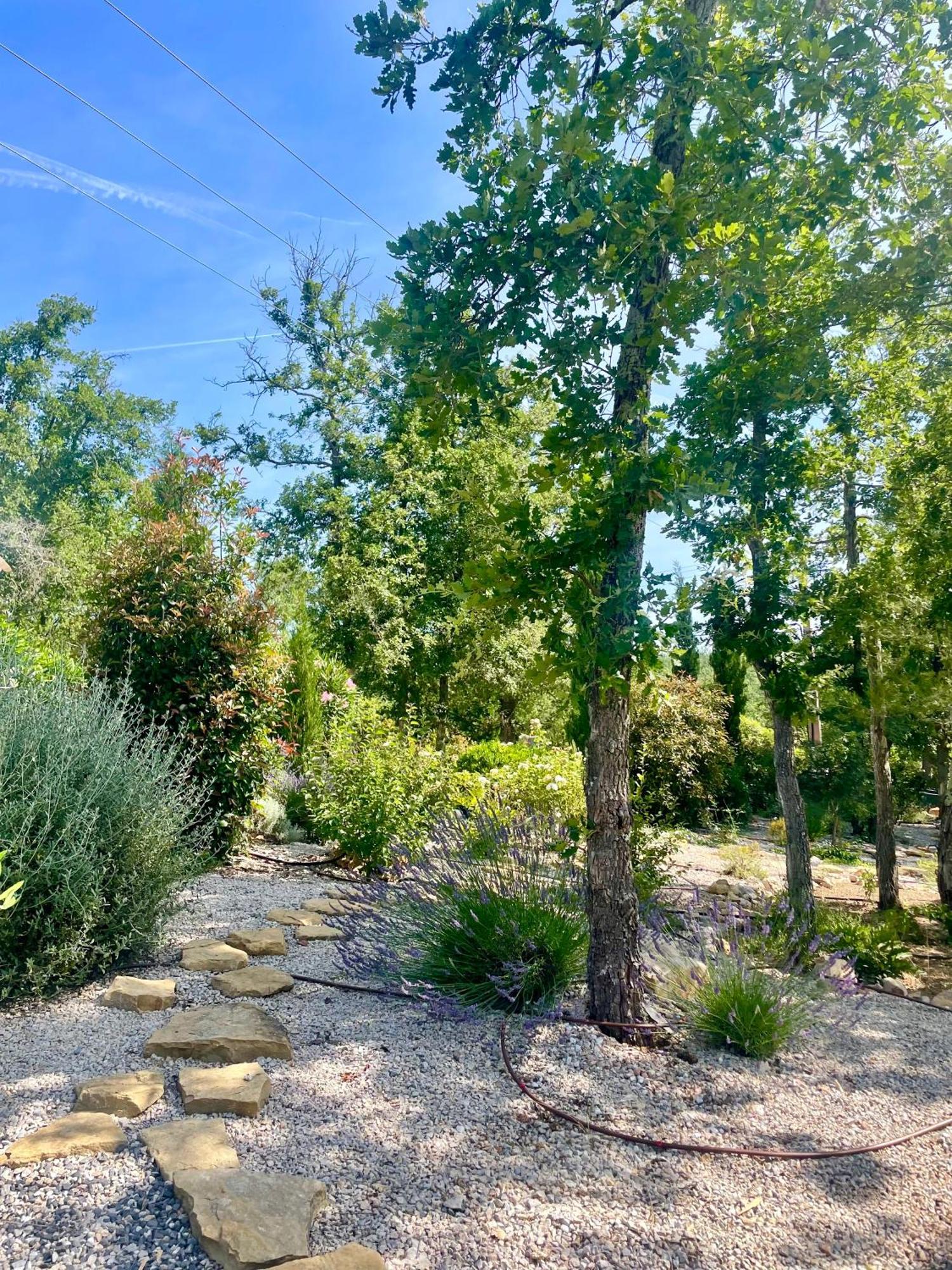 Superbe Villa Seillans La Grande Bastide Avec Piscine, Jardin, Climatisation Et Salle De Sport エクステリア 写真